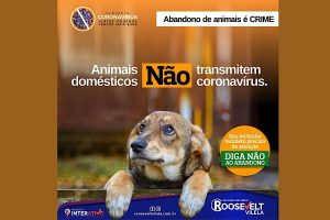 Proteja seu pet! Veja as dicas de higienização contra o COVID19