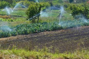 Canal de irrigação da Vargem Bonita, no Park Way, é inaugurado com recursos destinados pelo deputado Roosevelt Vilela