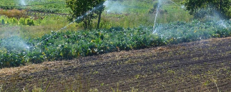 Canal de irrigação da Vargem Bonita, no Park Way, é inaugurado com recursos destinados pelo deputado Roosevelt Vilela