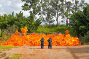 Deputado Roosevelt garante segurança de policiais que atuaram no ato das explosões na Praça dos Três Poderes